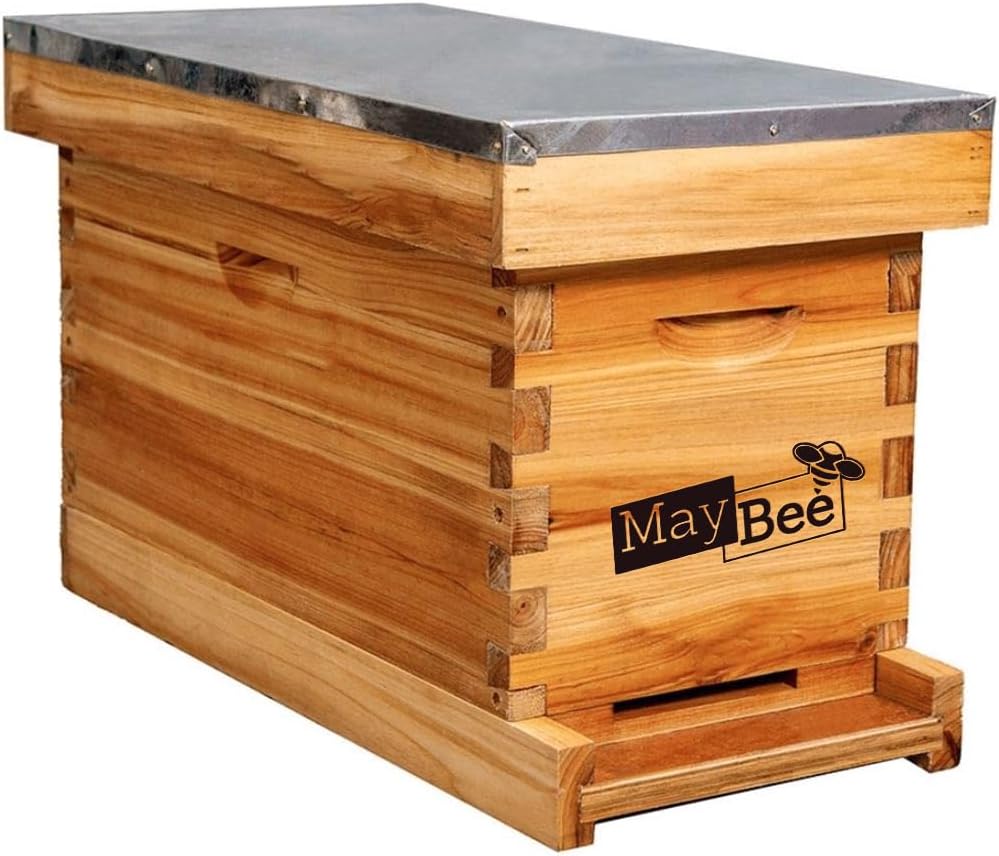 5-Frame Nuc Beehive Box with Frames
